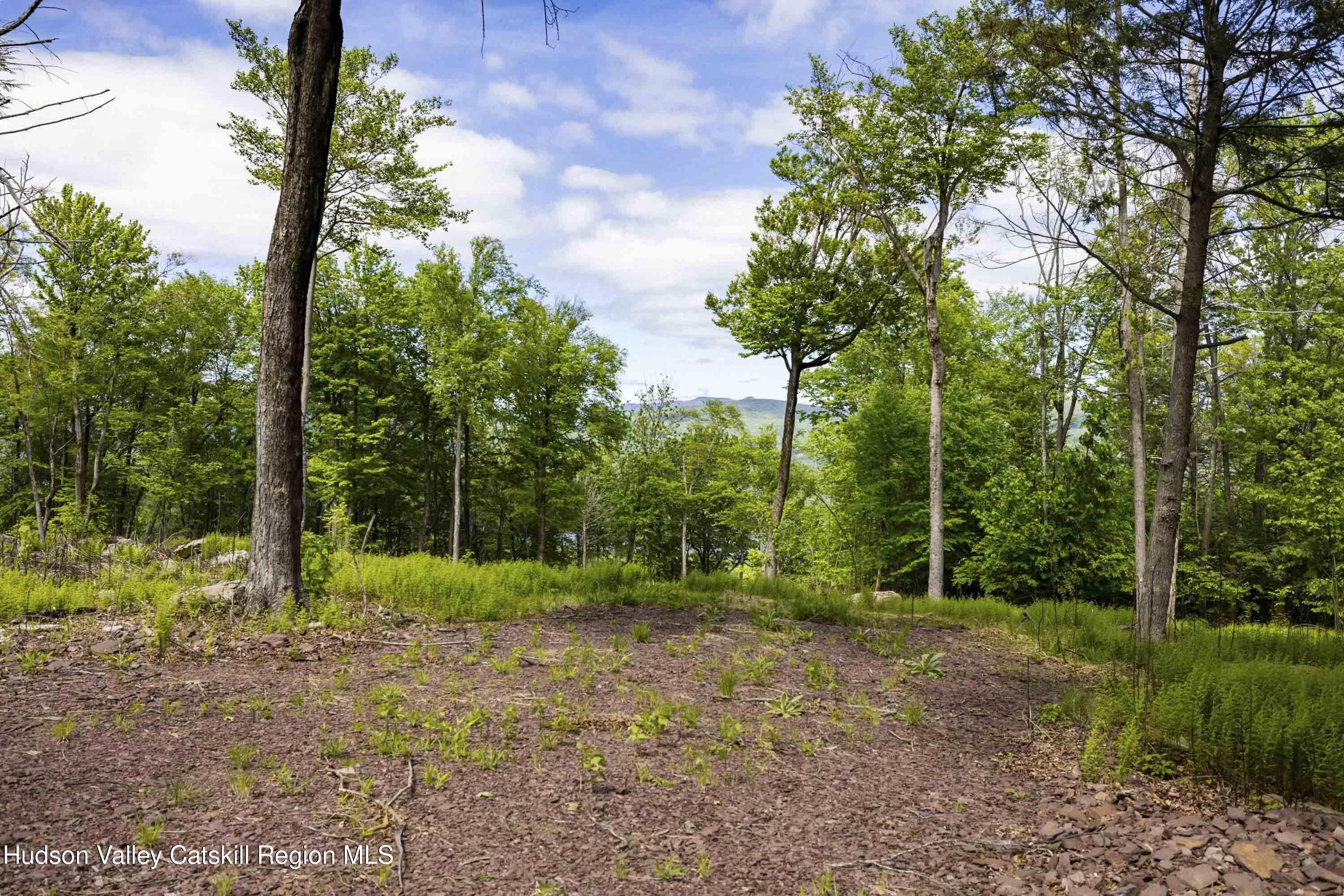 3 Red Rock Road Grahamsville, NY 12740 - Photo 10 of 15 a view of a tree in the middle of a yard