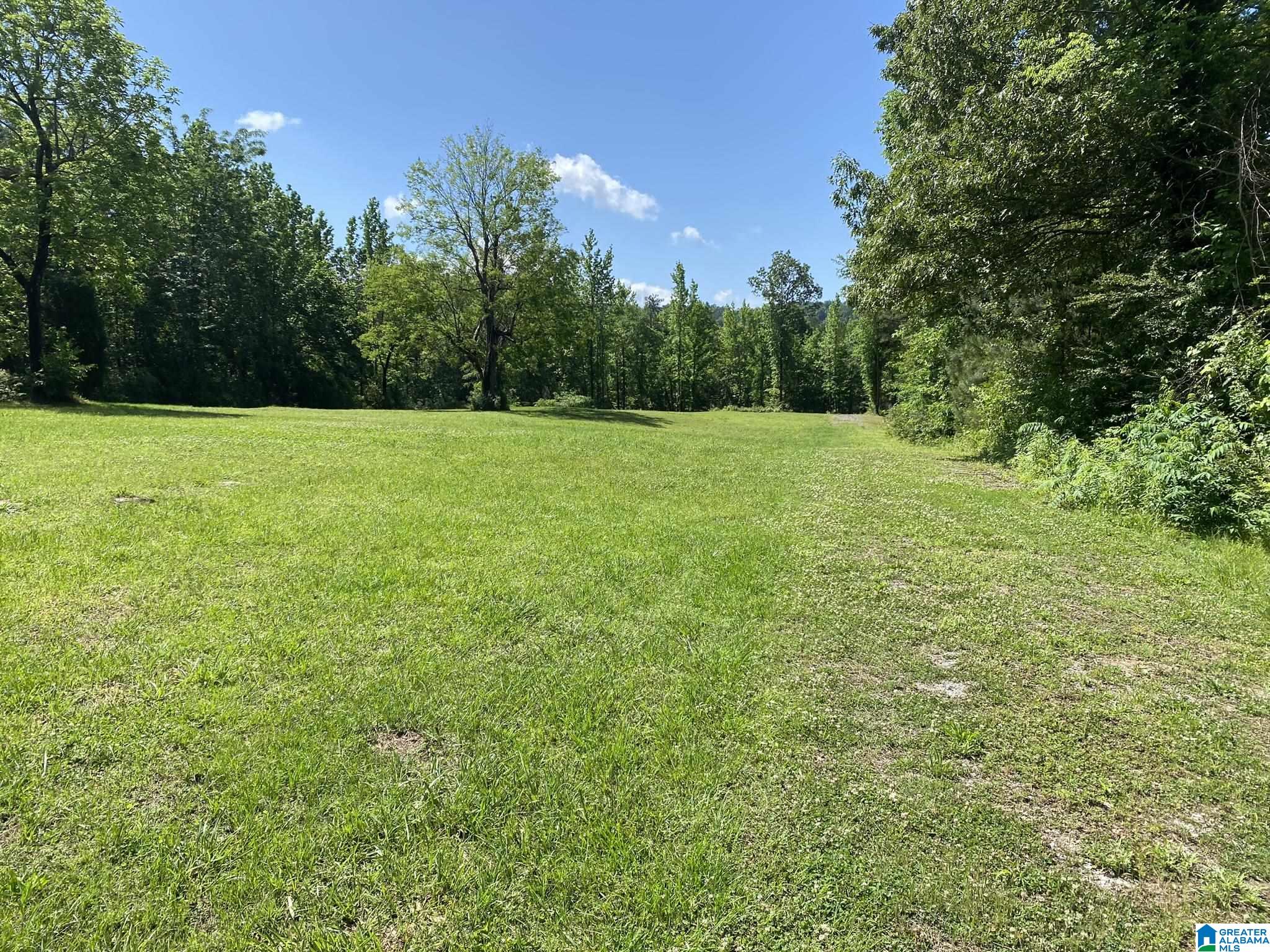 8978 Shoal Creek Road Ashville, AL 35953 - Photo 8 of 32