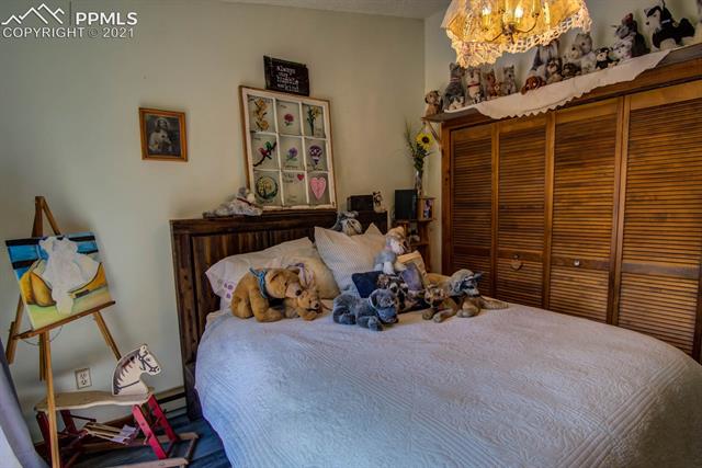 1199 Ridge Road Divide, CO 80814 - Photo 16 of 28
