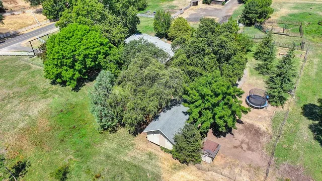 a view of a lush green forest with trees and some houses