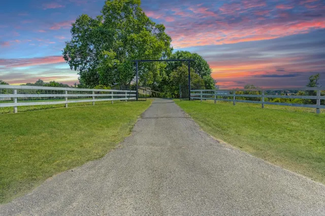 a view of a tree in the middle of a yard