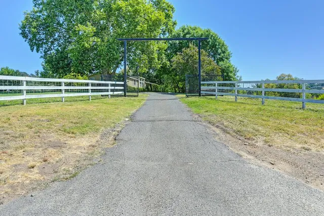 a tree in front of a white house
