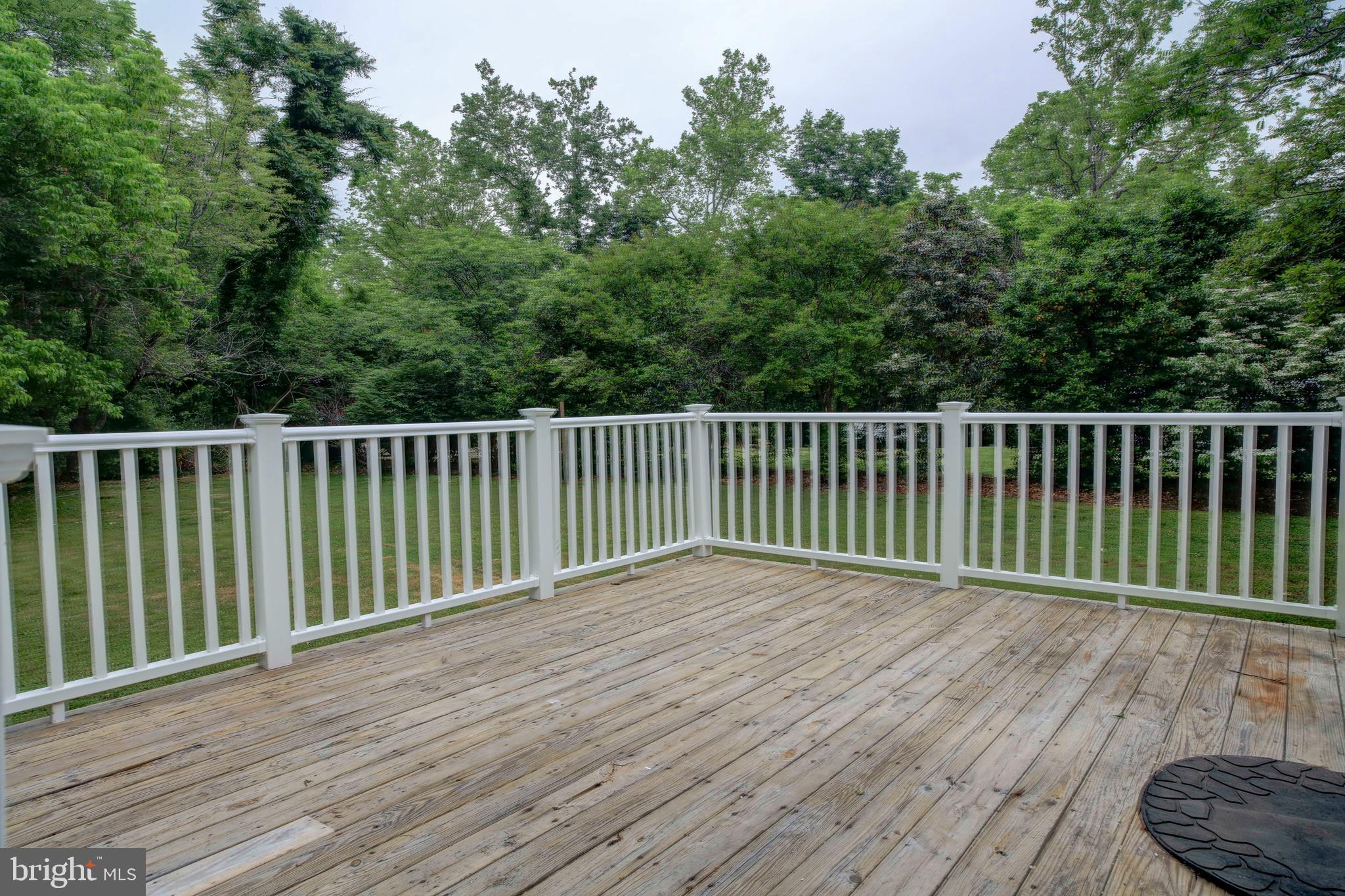 2010 Floral Park Road Clinton, MD 20735 - Photo 4 of 21 Back deck