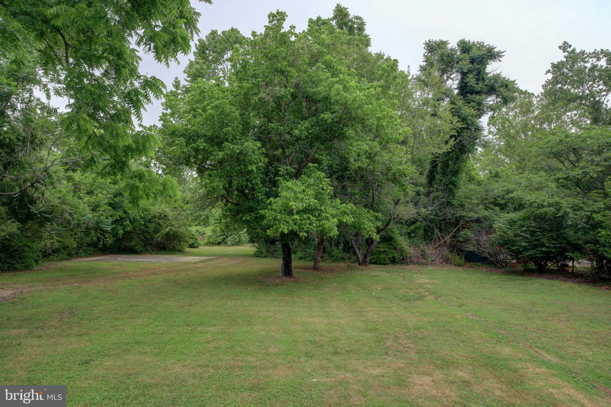 2010 Floral Park Road Clinton, MD 20735 - Photo 5 of 21 View from back deck