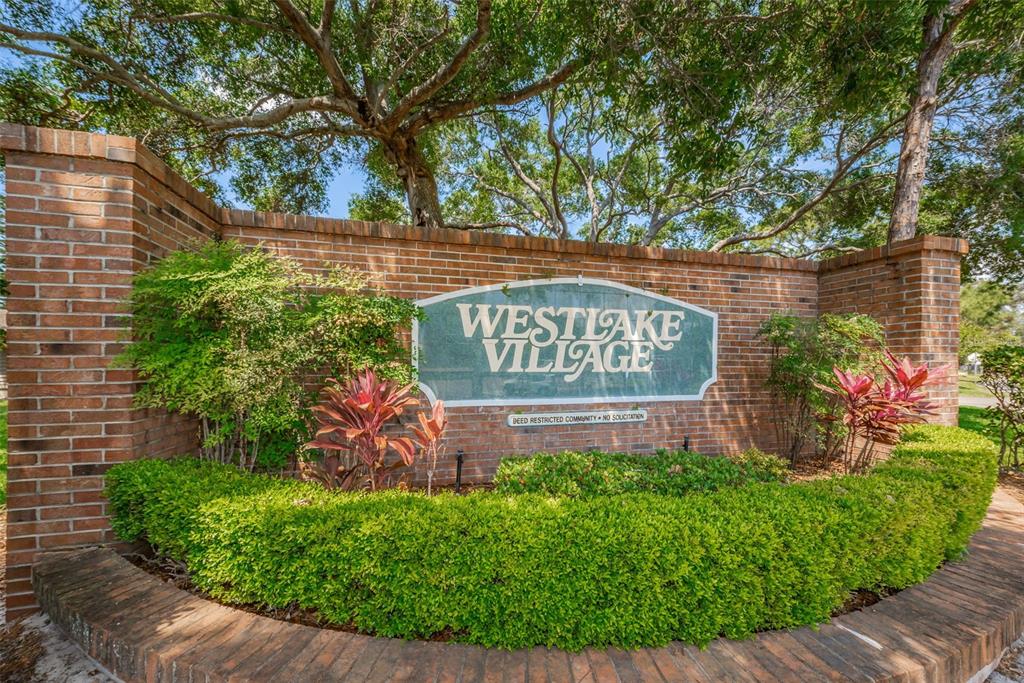 520 Sandy Hook Road Palm Harbor, FL 34683 - Photo 39 of 76