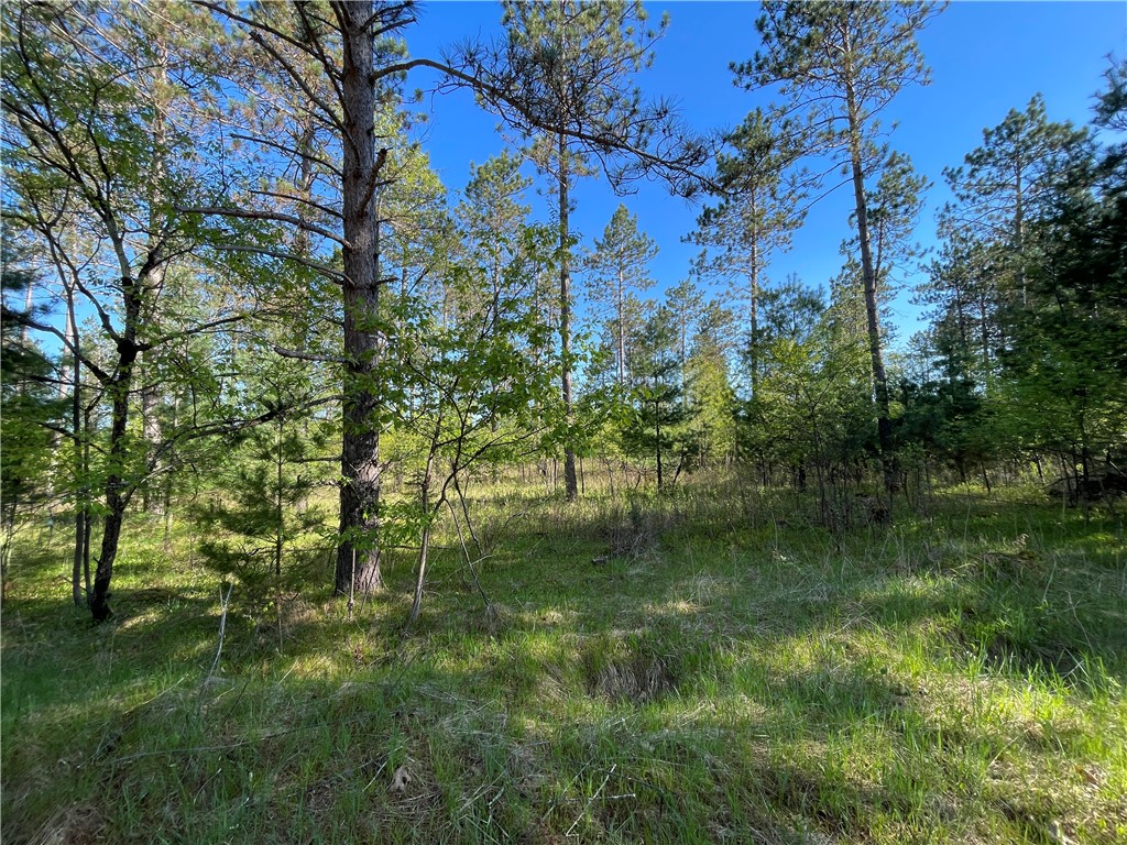 Lot 2 Murphy Boulevard Hayward, WI 54843 - Photo 6 of 10