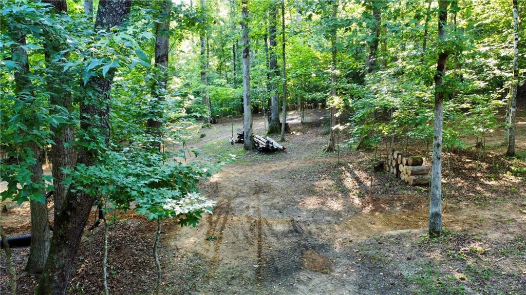 1125 Pecks Road Dahlonega, GA 30533 - Photo 26 of 31