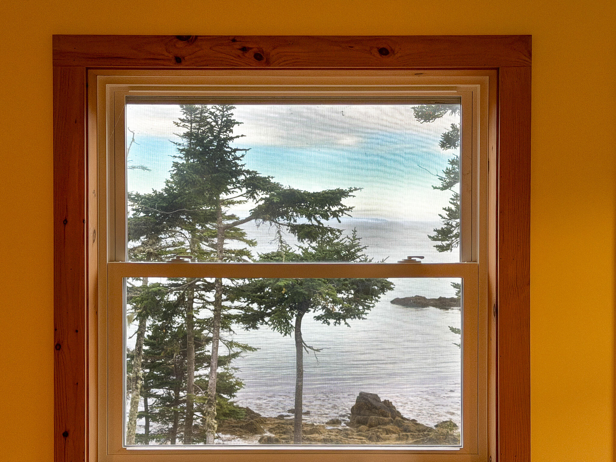 128 Havenhurst Road Lubec, ME 04652 - Photo 26 of 27 IMG_7182