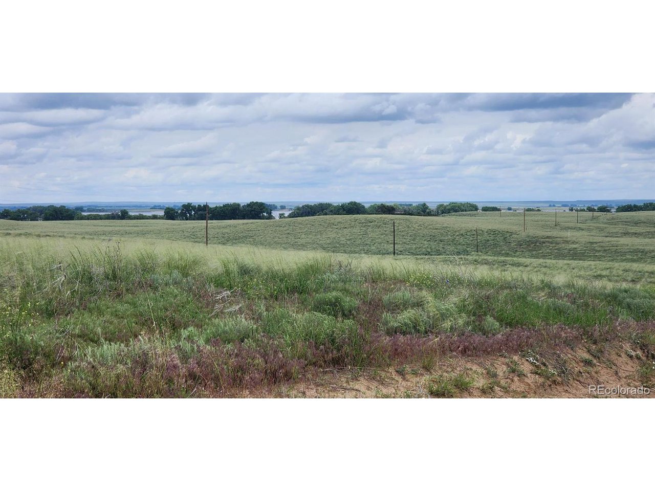 R8977762 R8977762 Orchard Orchard, CO 80649 - Photo 14 of 24
