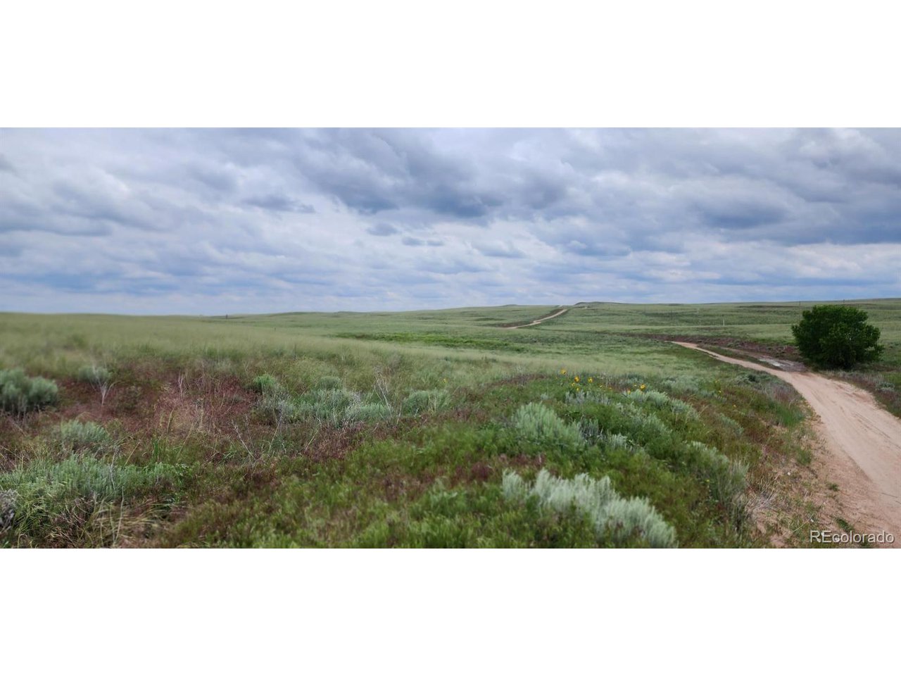 R8977762 R8977762 Orchard Orchard, CO 80649 - Photo 18 of 24