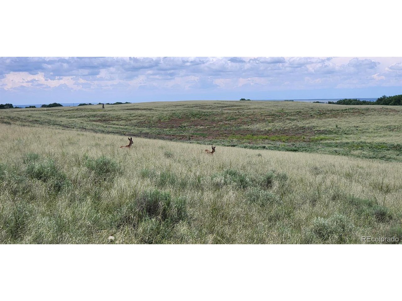 R8977762 R8977762 Orchard Orchard, CO 80649 - Photo 19 of 24