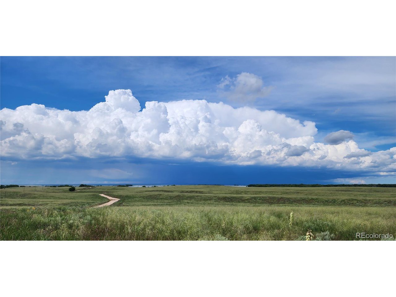 R8977762 R8977762 Orchard Orchard, CO 80649 - Photo 23 of 24