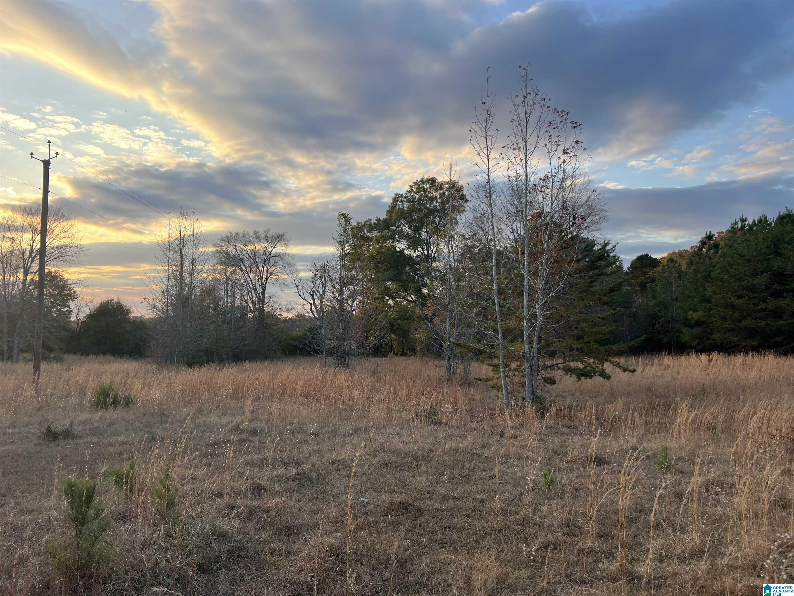 11-acres Risers Mill Road, Unit 11 ACRES Alpine, AL 35014 - Photo 10 of 23