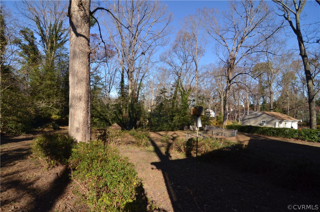3308 Osborne Road Chester, VA 23831 - Photo 17 of 26 a view of yard with trees