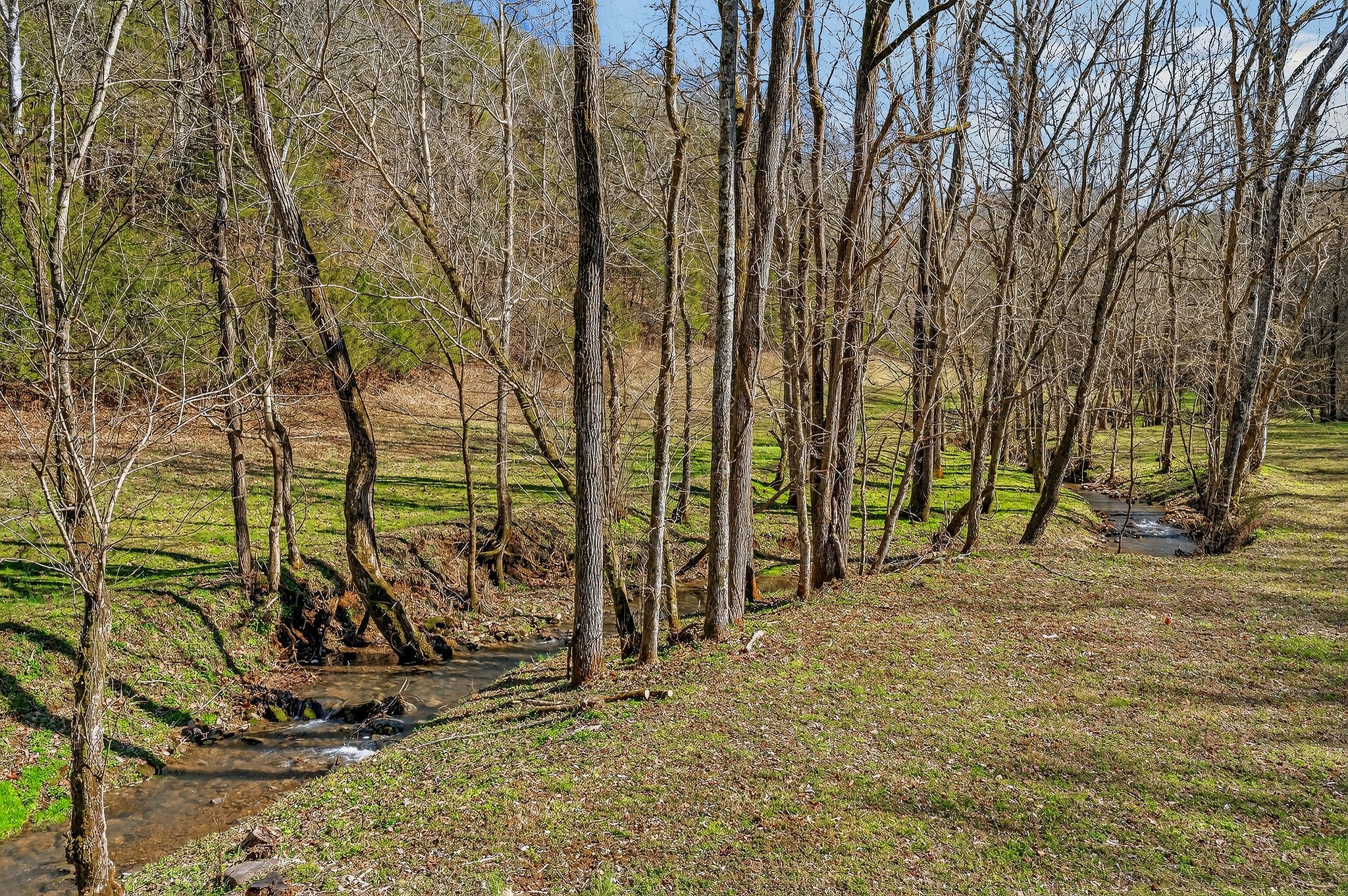 3331 Adamson Branch Road Liberty, TN 37095 - Photo 36 of 59 a view of a yard with wooden fence
