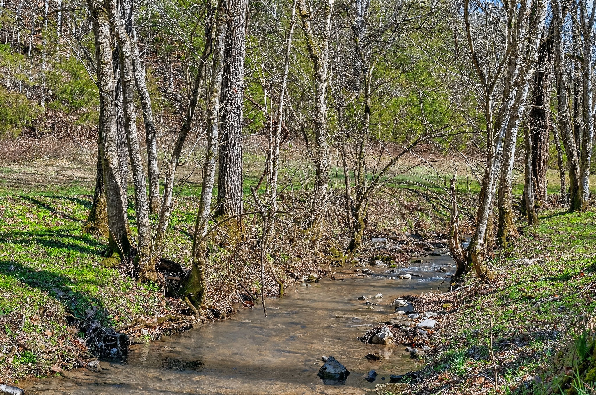 3331 Adamson Branch Road Liberty, TN 37095 - Photo 38 of 59