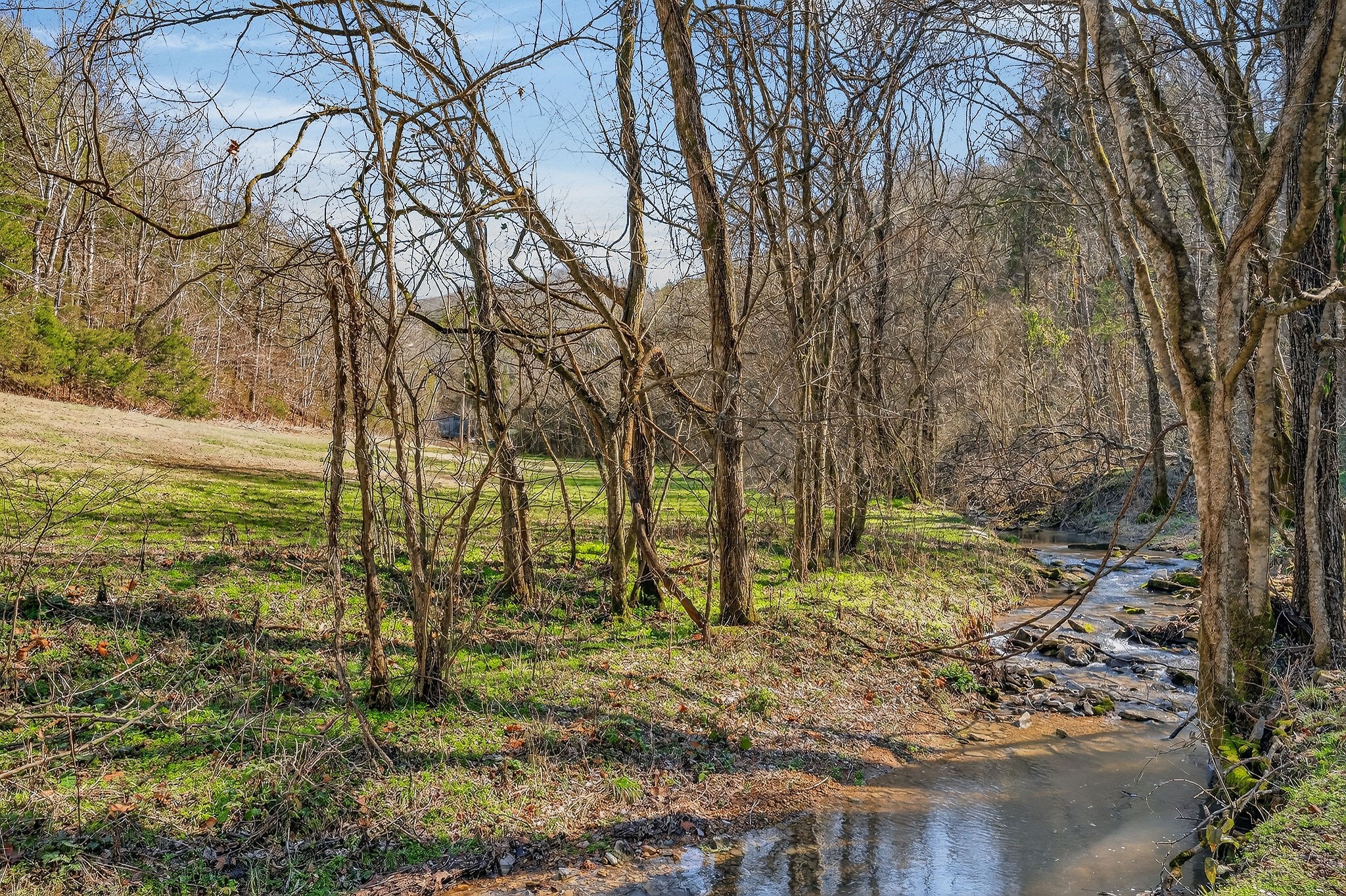 3331 Adamson Branch Road Liberty, TN 37095 - Photo 40 of 59 a backyard of a house with lots of green space