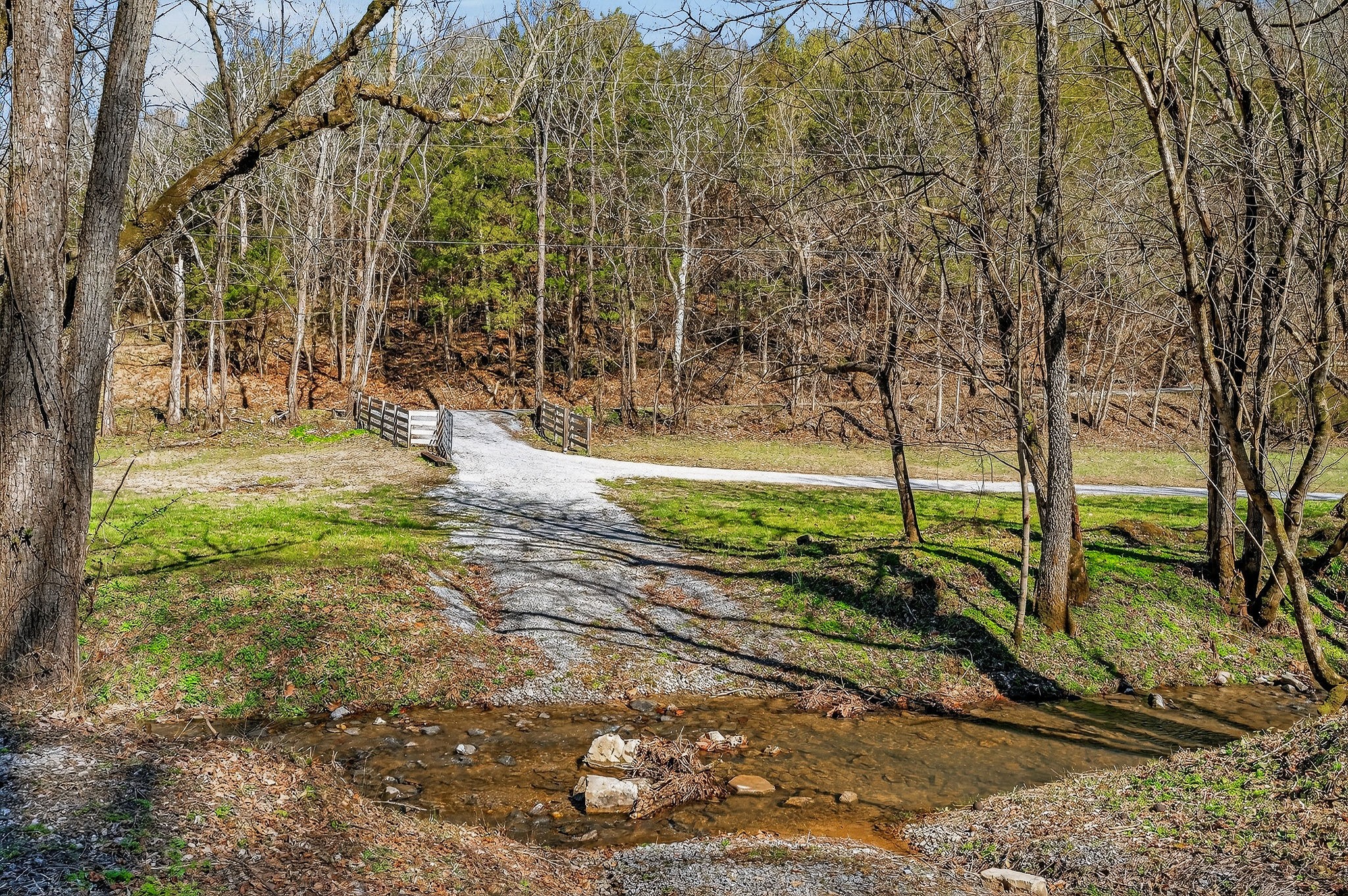 3331 Adamson Branch Road Liberty, TN 37095 - Photo 43 of 59 a view of yard