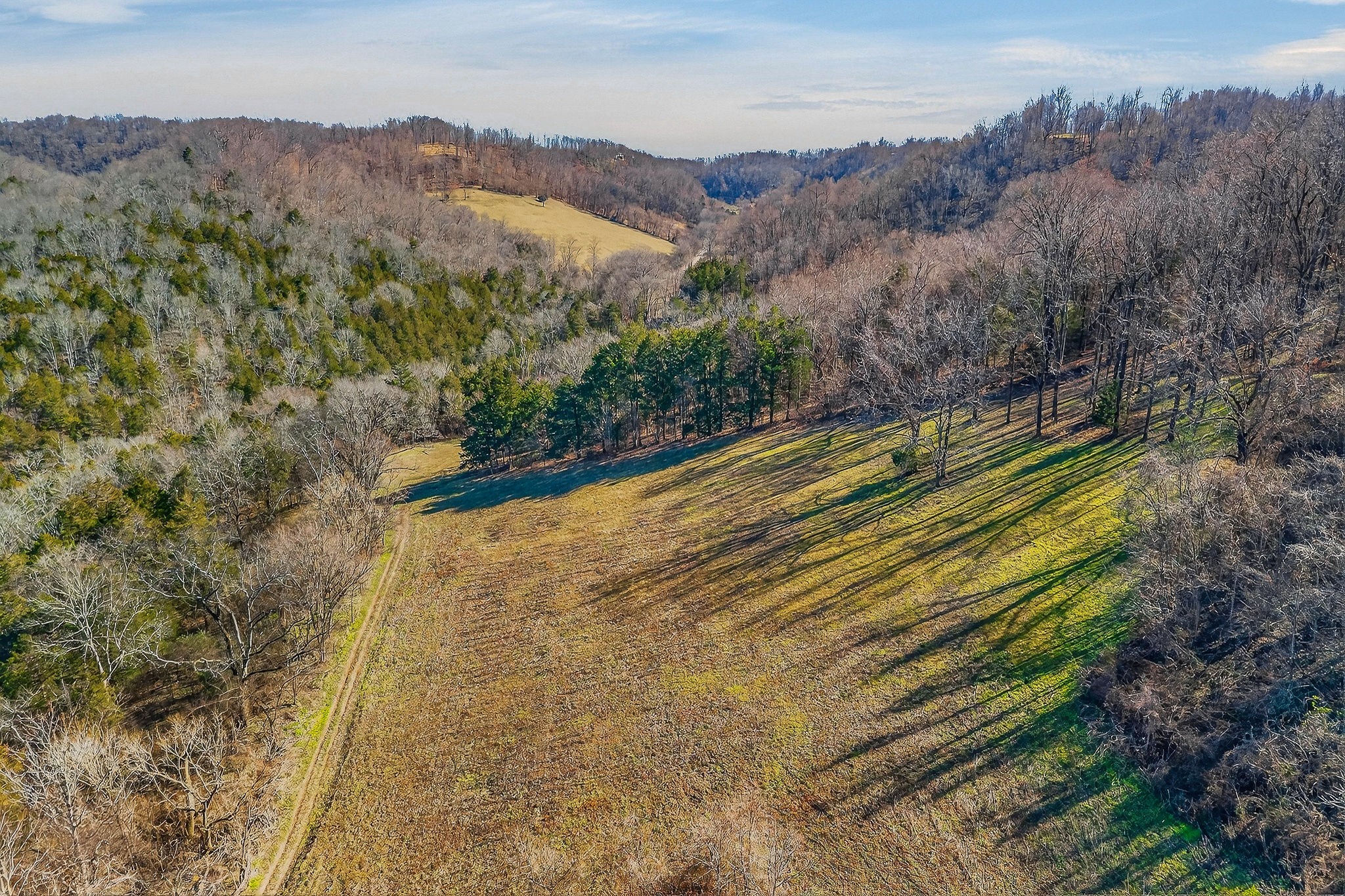 3331 Adamson Branch Road Liberty, TN 37095 - Photo 53 of 59 a view of a yard with a area
