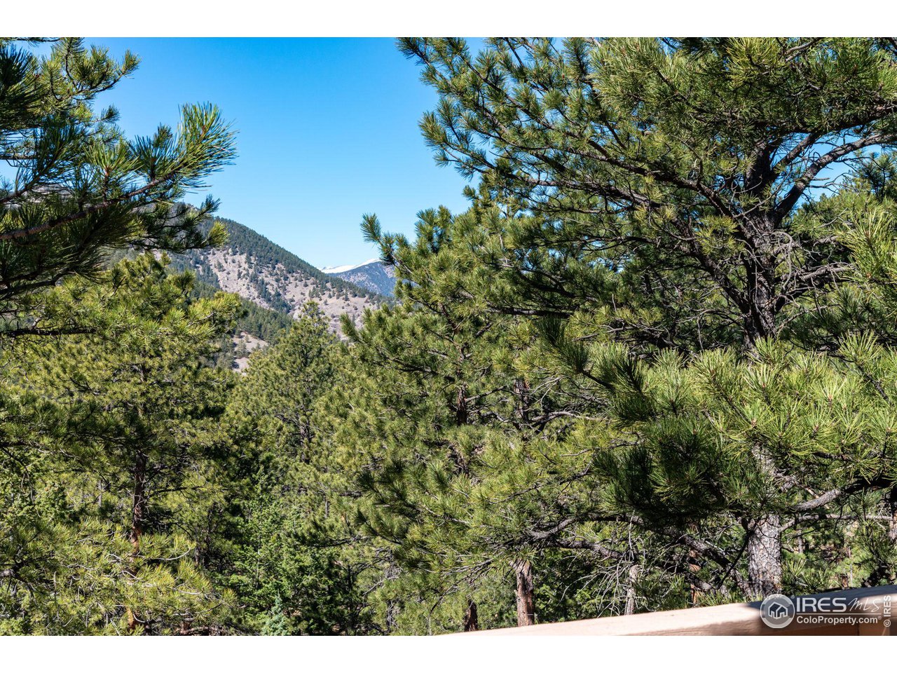 757 Peakview Road Boulder, CO 80302 - Photo 32 of 34 a view of a tree