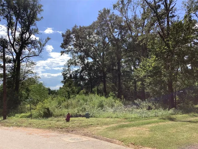 a view of a yard with a tree