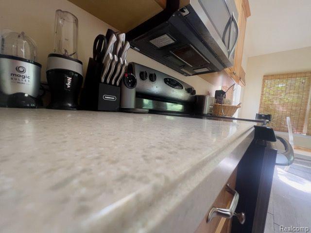 30489 Rockshire Avenue Farmington Hills, MI 48334 - Photo 18 of 39