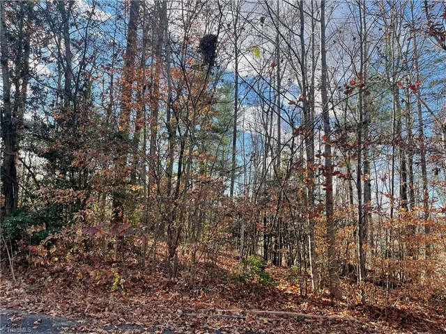 $59,900 | Lot 4 Longview Drive, Wilkesboro, NC 28697