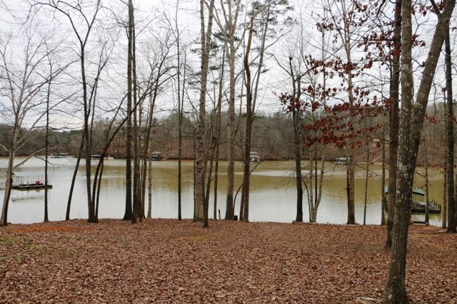 110 Frank Gaillard Road Seneca, SC 29678 - Photo 20 of 25 Gallery Image 20