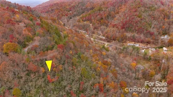 a view of a back yard