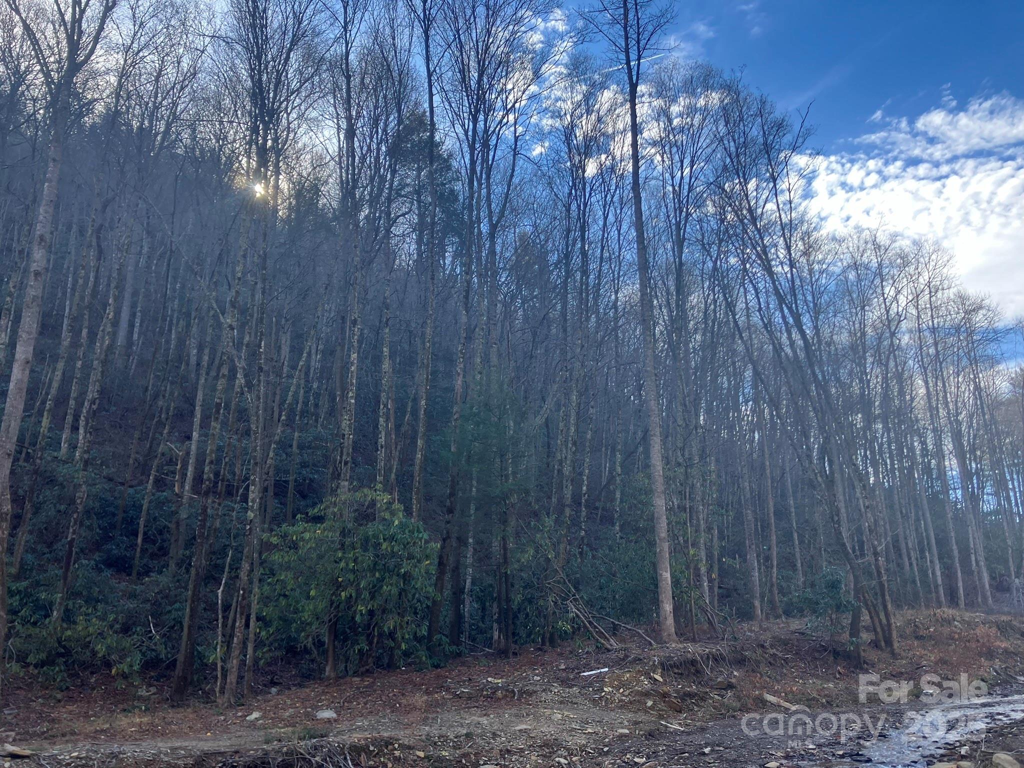 82 Davey Crockett Road Fairview, NC 28730 - Photo 11 of 17