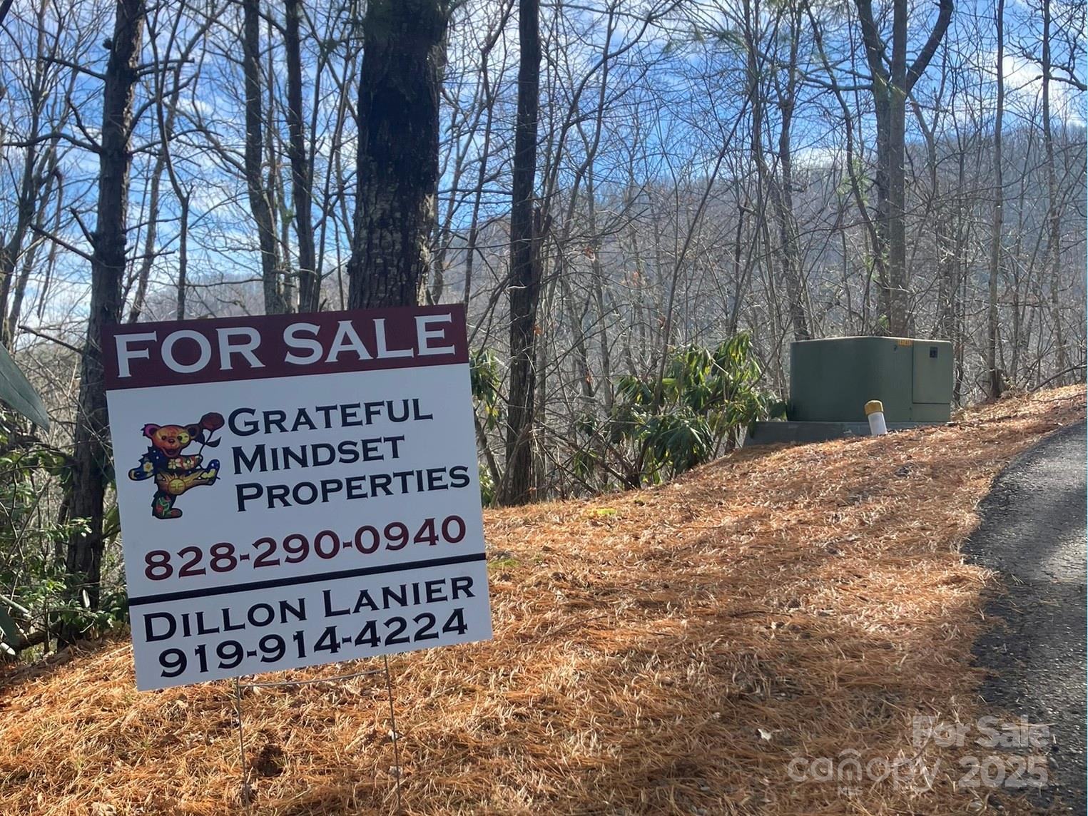 82 Davey Crockett Road Fairview, NC 28730 - Photo 14 of 17