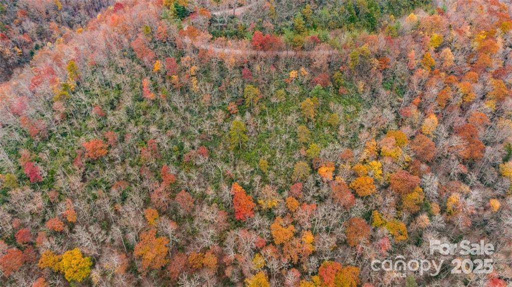 82 Davey Crockett Road Fairview, NC 28730 - Photo 2 of 17
