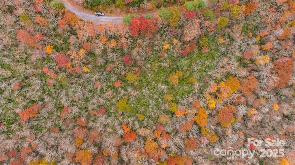 82 Davey Crockett Road Fairview, NC 28730 - Photo 3 of 17