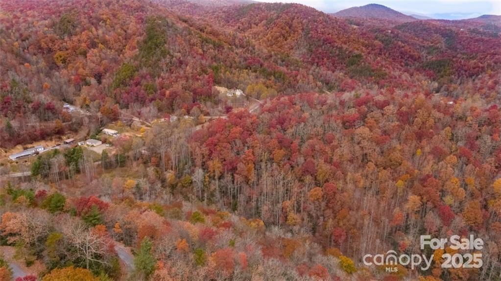 82 Davey Crockett Road Fairview, NC 28730 - Photo 4 of 17