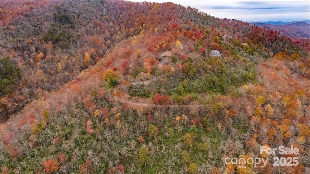 82 Davey Crockett Road Fairview, NC 28730 - Photo 5 of 17