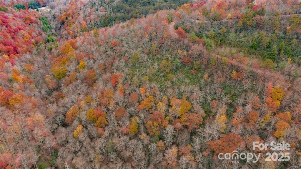 82 Davey Crockett Road Fairview, NC 28730 - Photo 6 of 17