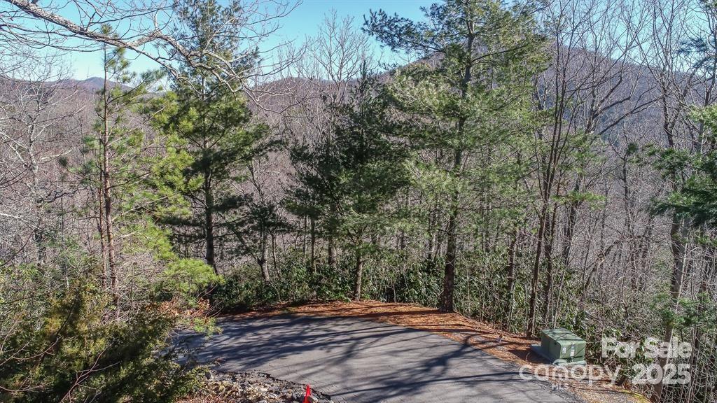 82 Davey Crockett Road Fairview, NC 28730 - Photo 7 of 17
