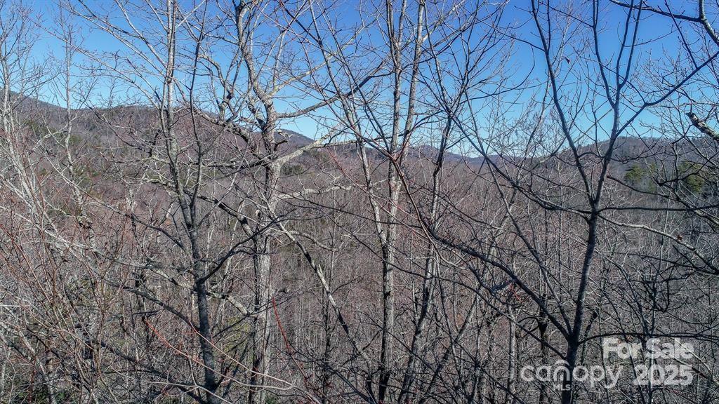 82 Davey Crockett Road Fairview, NC 28730 - Photo 8 of 17