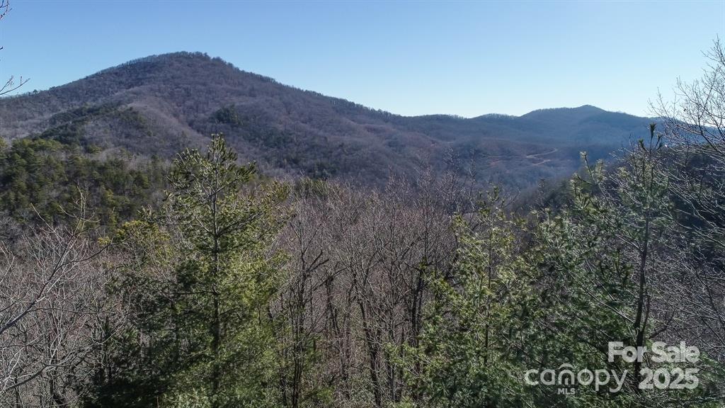 82 Davey Crockett Road Fairview, NC 28730 - Photo 9 of 17