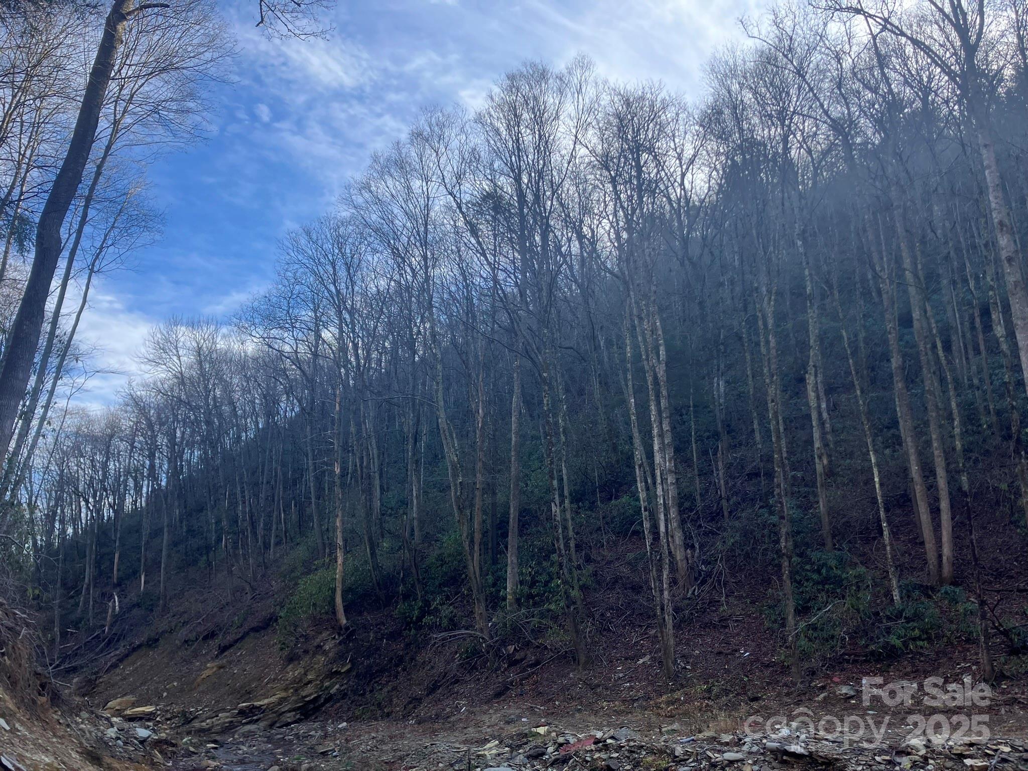 82 Davey Crockett Road Fairview, NC 28730 - Photo 10 of 17