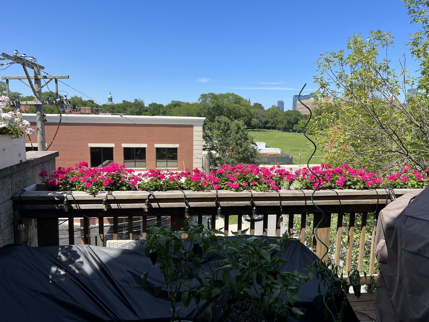 1300 West Fillmore Street, Unit 3 Chicago, IL 60607 - Photo 30 of 34