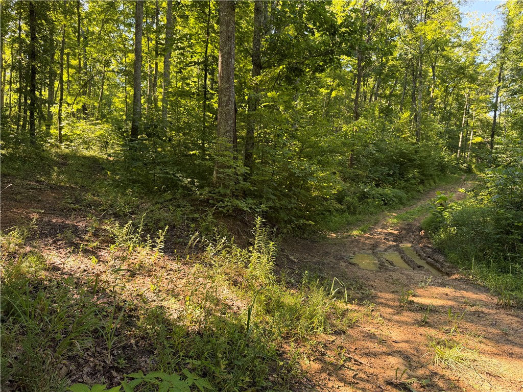 1897 Chestnut Ridge Road West Union, OH 45693 - Photo 44 of 61