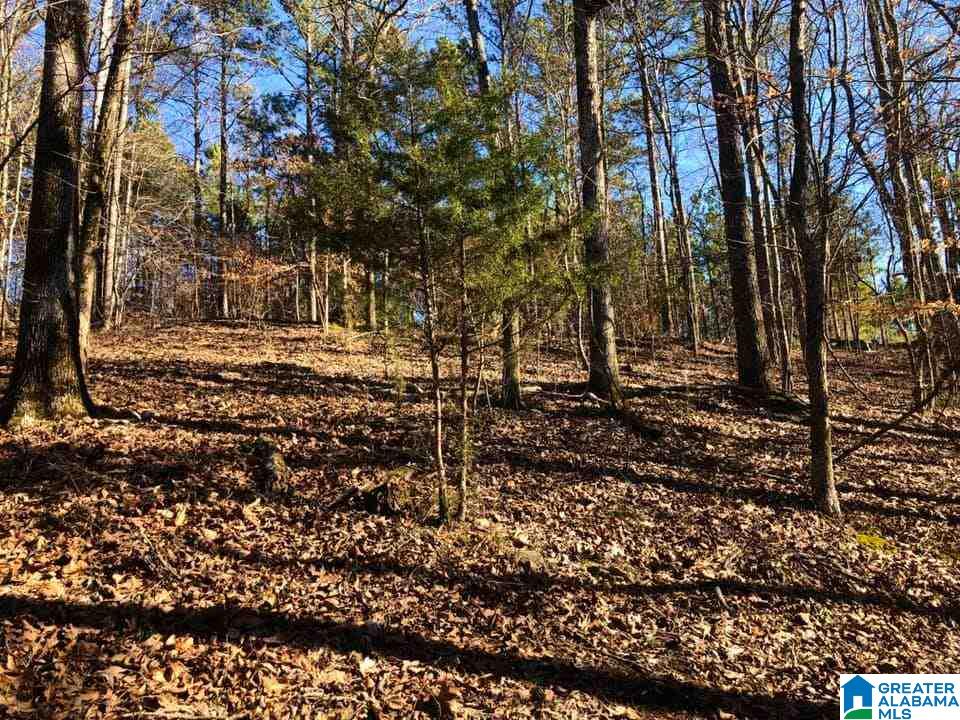Lot 150 County Road 804, Unit 150 Wedowee, AL 36278 - Photo 4 of 8