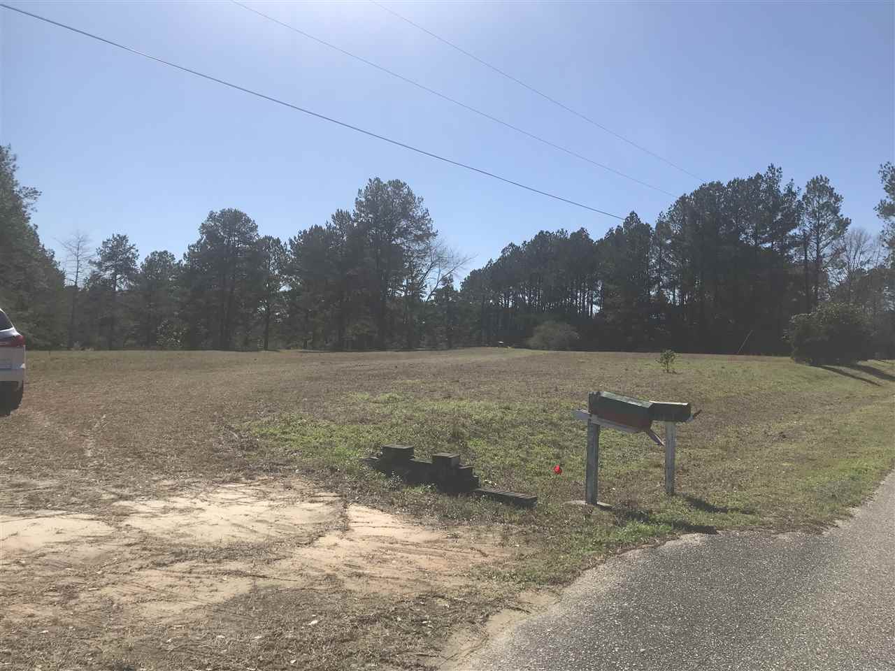 17904 Cliff Meredith Road Andalusia, AL 36420 - Photo 4 of 16 Gallery Image 4