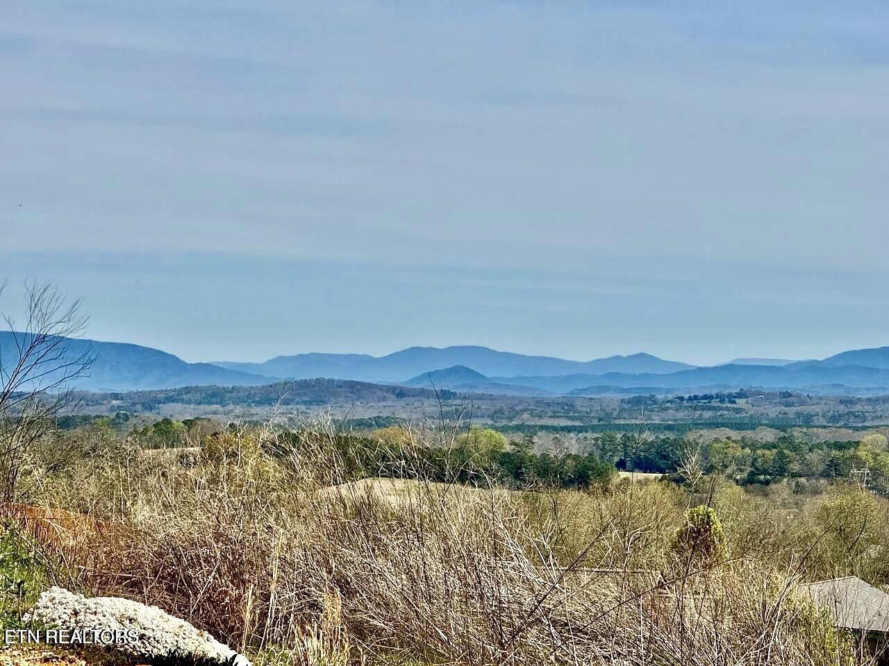 Timber Top Crossing Cleveland, TN 37323 - Photo 8 of 10 View from lot