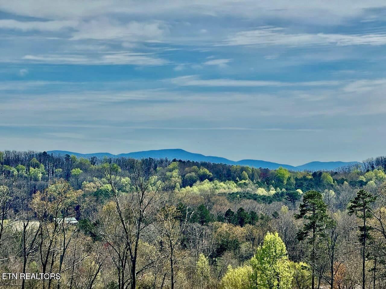 Timber Top Crossing Cleveland, TN 37323 - Photo 9 of 10 View from lot