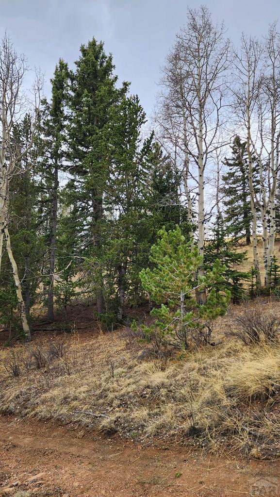 0 County Road Victor, CO 80860 - Photo 18 of 21