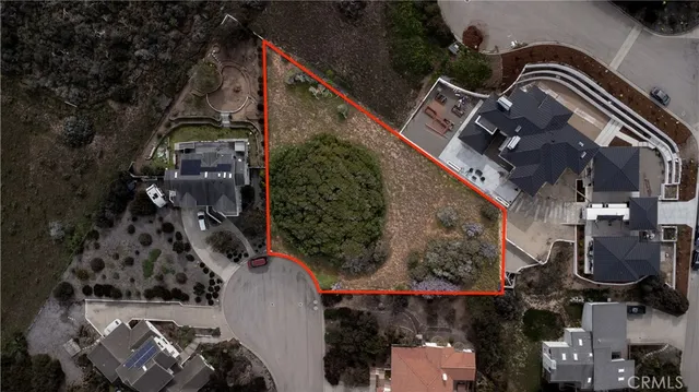 an aerial view of houses covered with trees