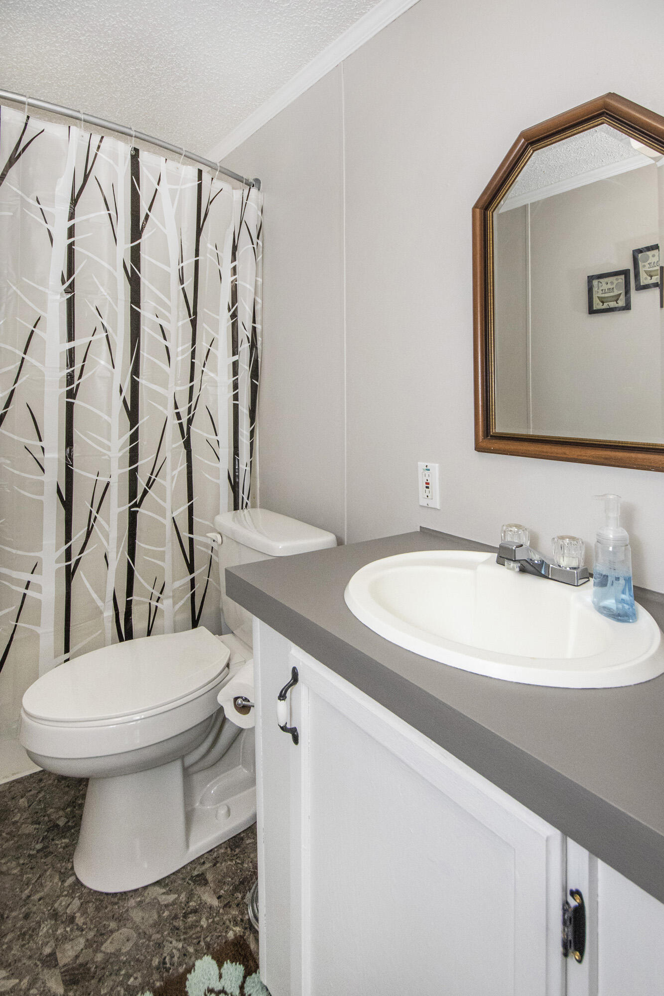 2203 Lynx Road New Market, TN 37820 - Photo 20 of 39 V19A3698