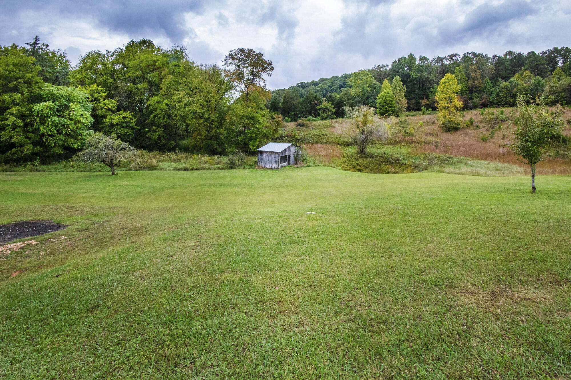 2203 Lynx Road New Market, TN 37820 - Photo 28 of 39 V19A3719